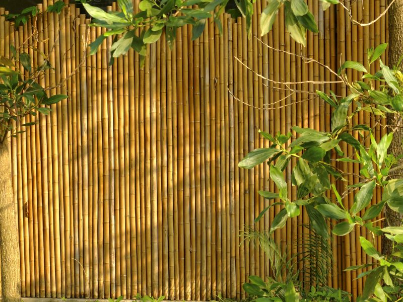 Decorative Bamboo Fence